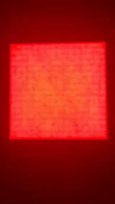 notification_vid.gif
